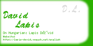 david lapis business card